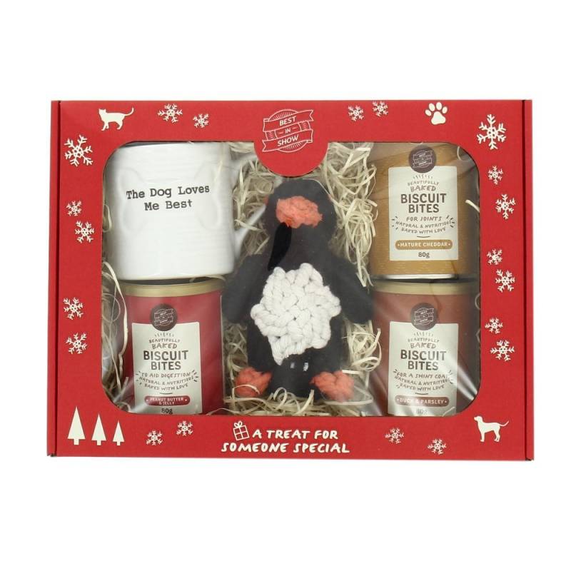 Christmas Dog Gift Box