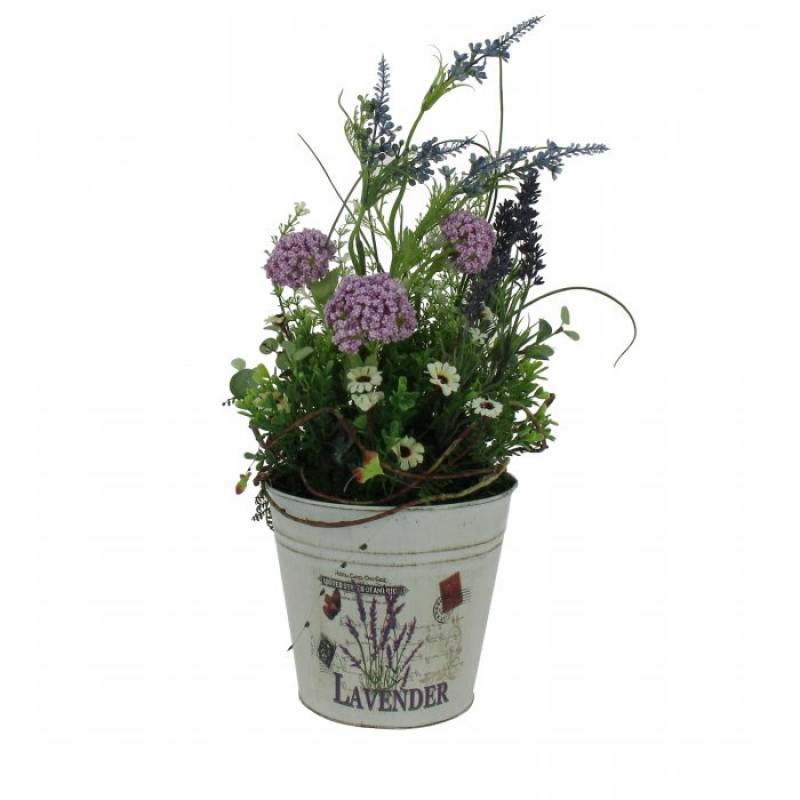Highland Lavender
