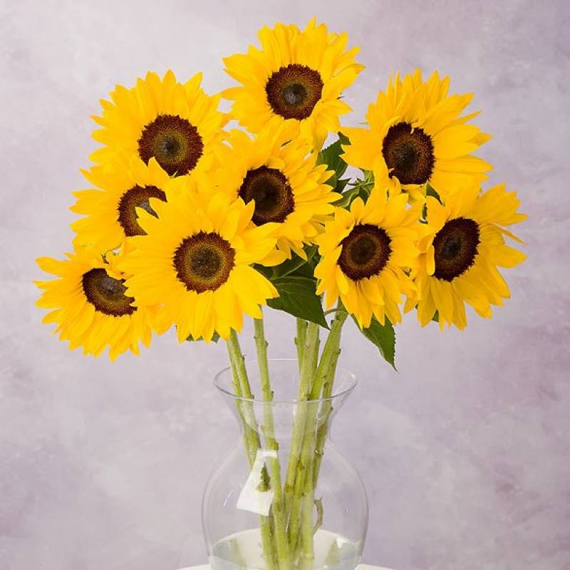 Simply Sunflowers