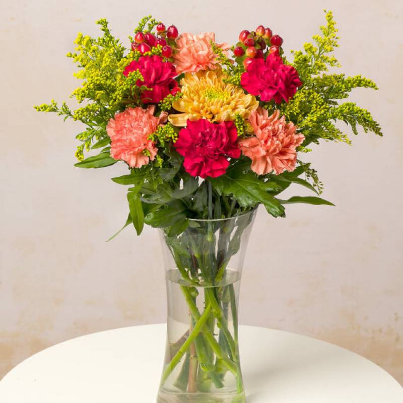 Autumn Carnations