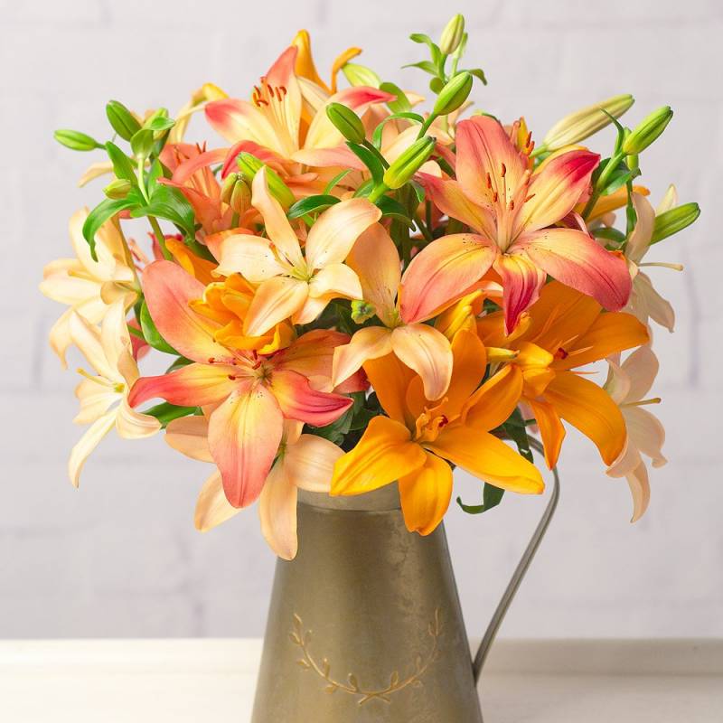 Autumn Lilies