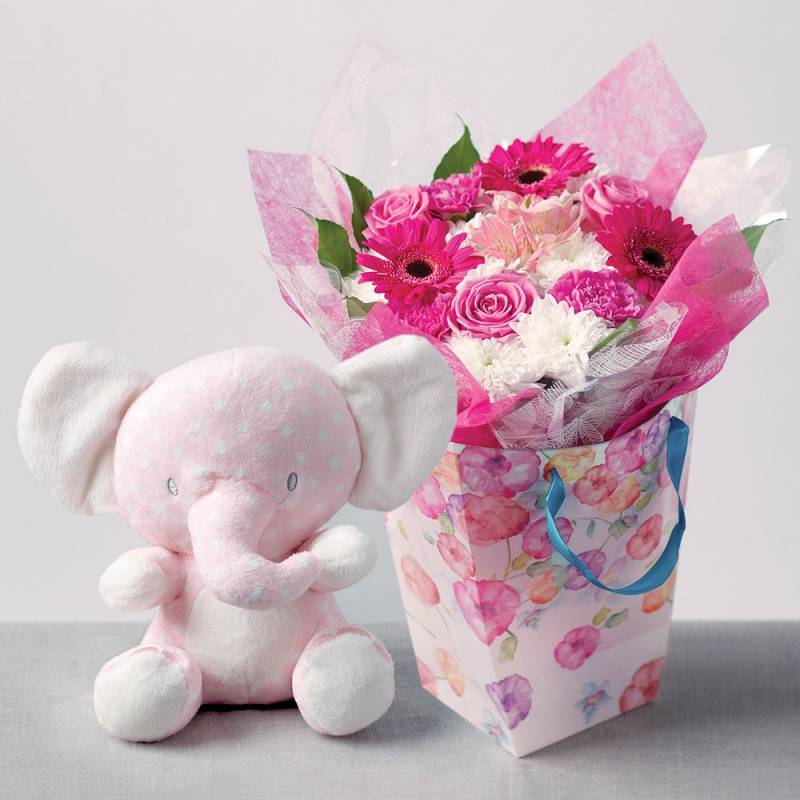 Baby Girl Gift Bag