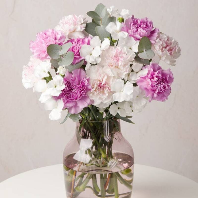 Carnation Celebration 