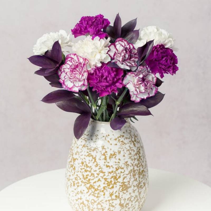 Damson Delight