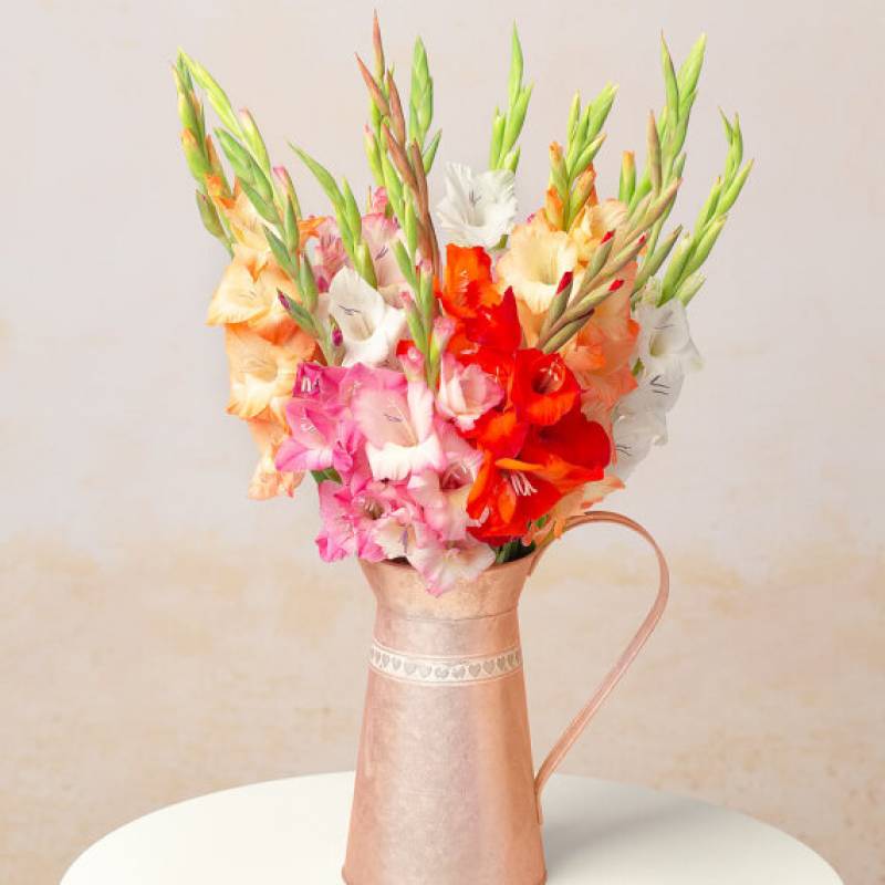 Gladioli Bouquet