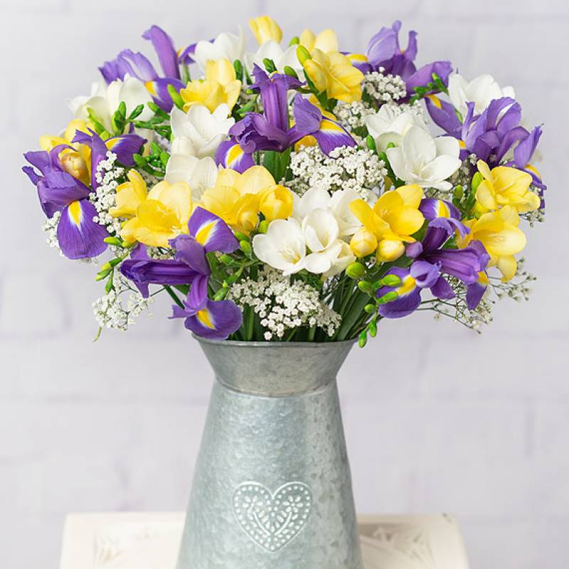 Iris and Freesias