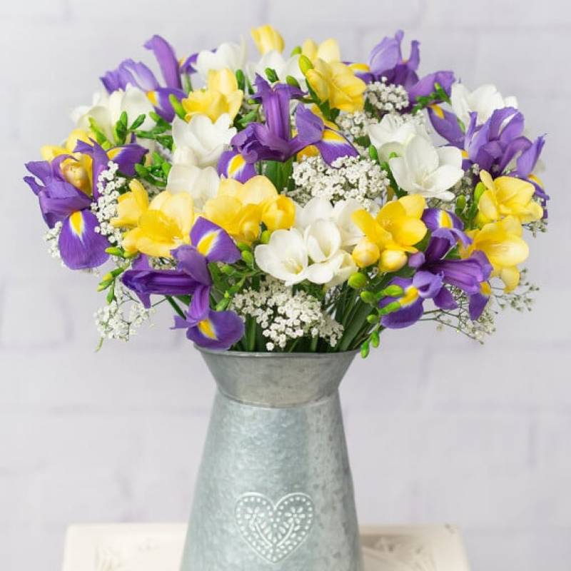 Iris and Freesias Large