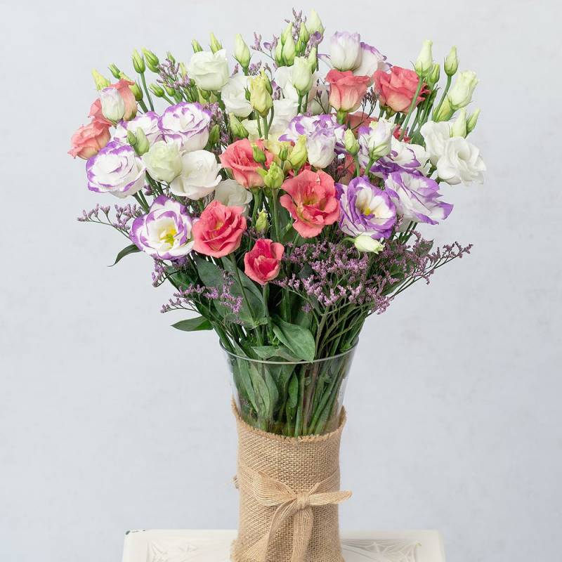 Sweet Lisianthus
