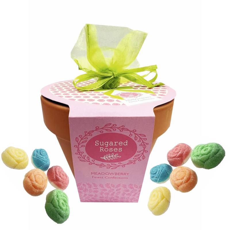 A Little Pot of Sweet Roses