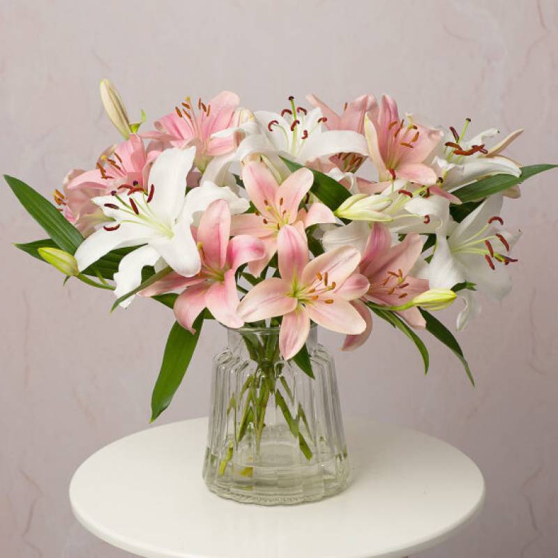 Simply Lilies