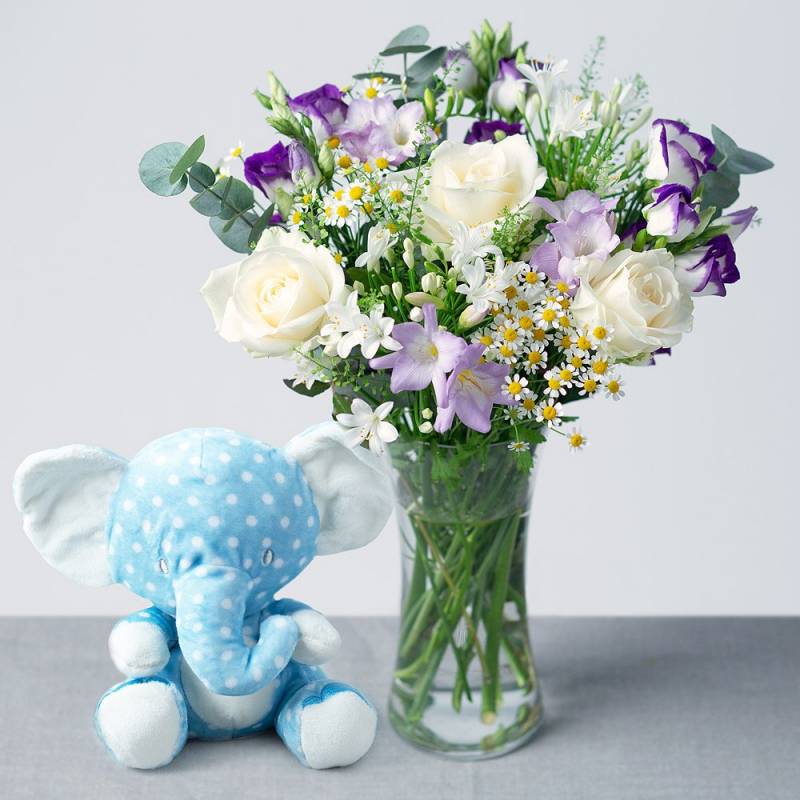 Baby Boy Gift