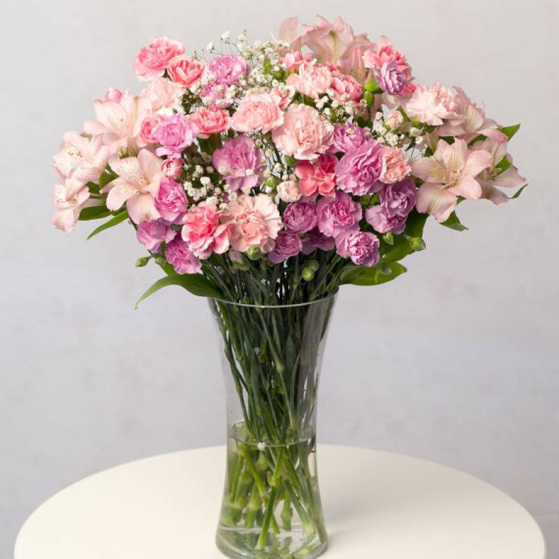 Pink Blush