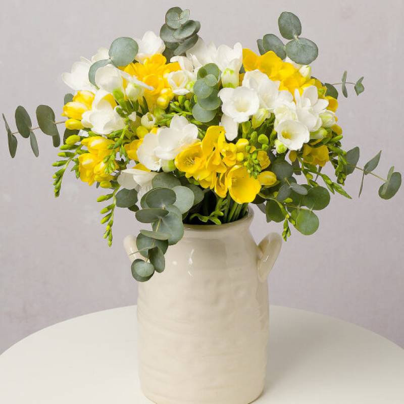 Summer Freesias