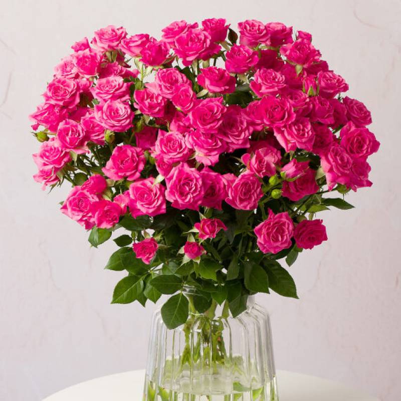 Pink Spray Roses Large