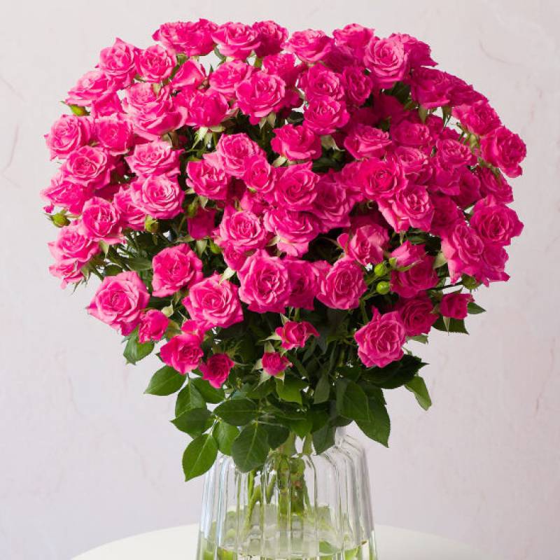 Pink Spray Roses Extra Large