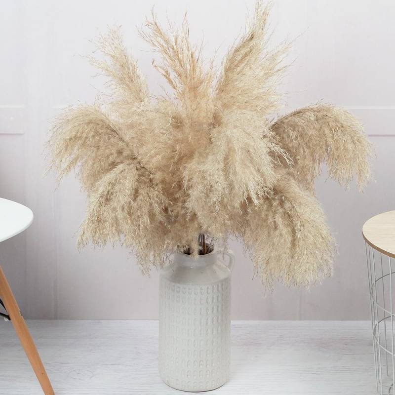 Natural Pampas Bouquet