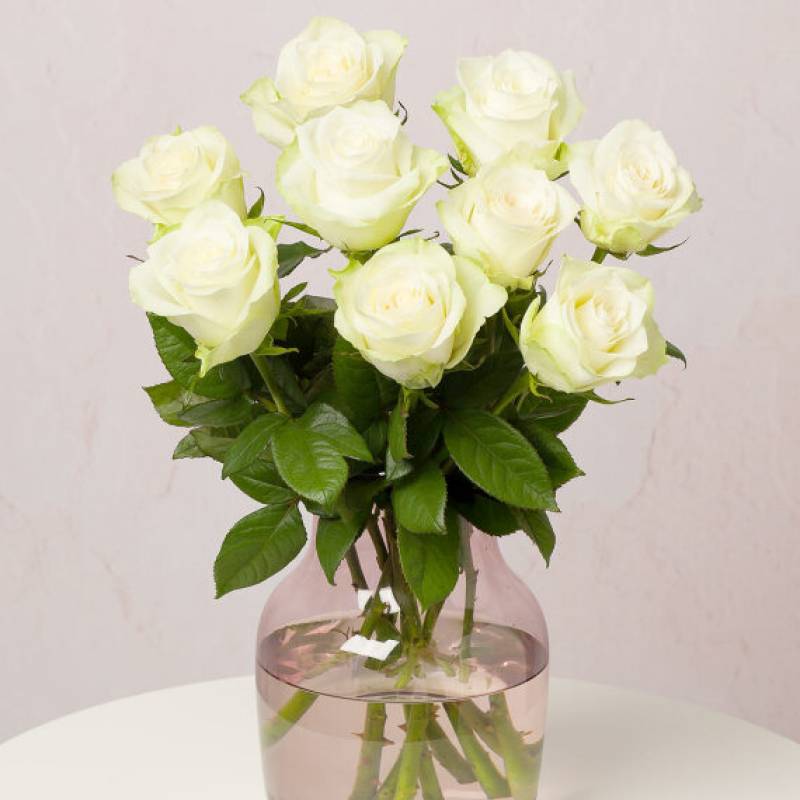 Simply White Roses