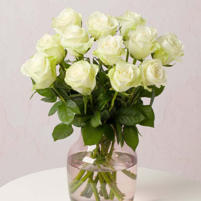 Simply White Roses Large