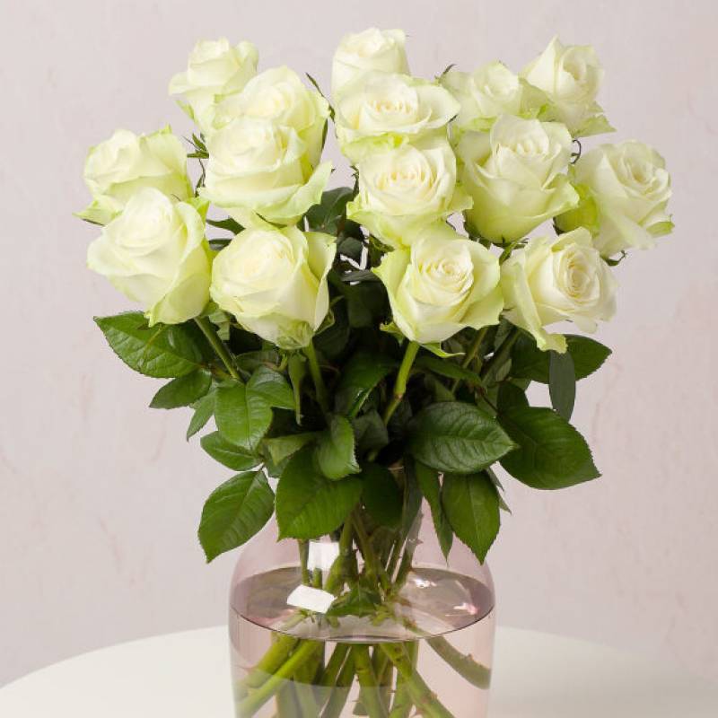 Simply White Roses XL