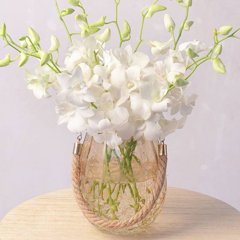 White Orchids