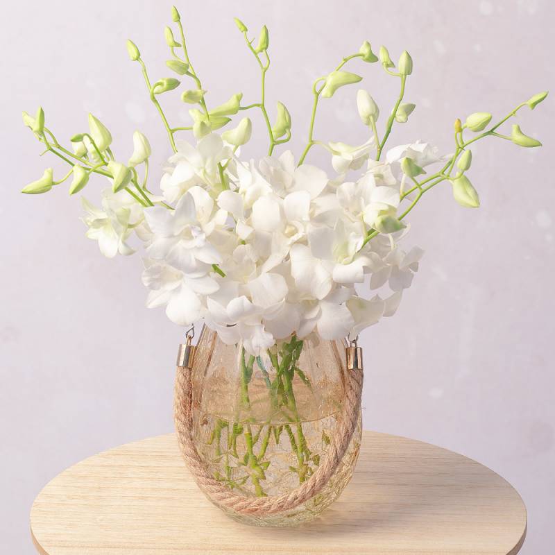White Orchids Large