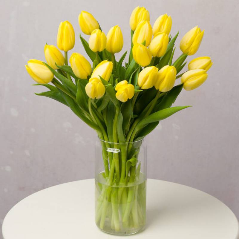 Easter Tulips