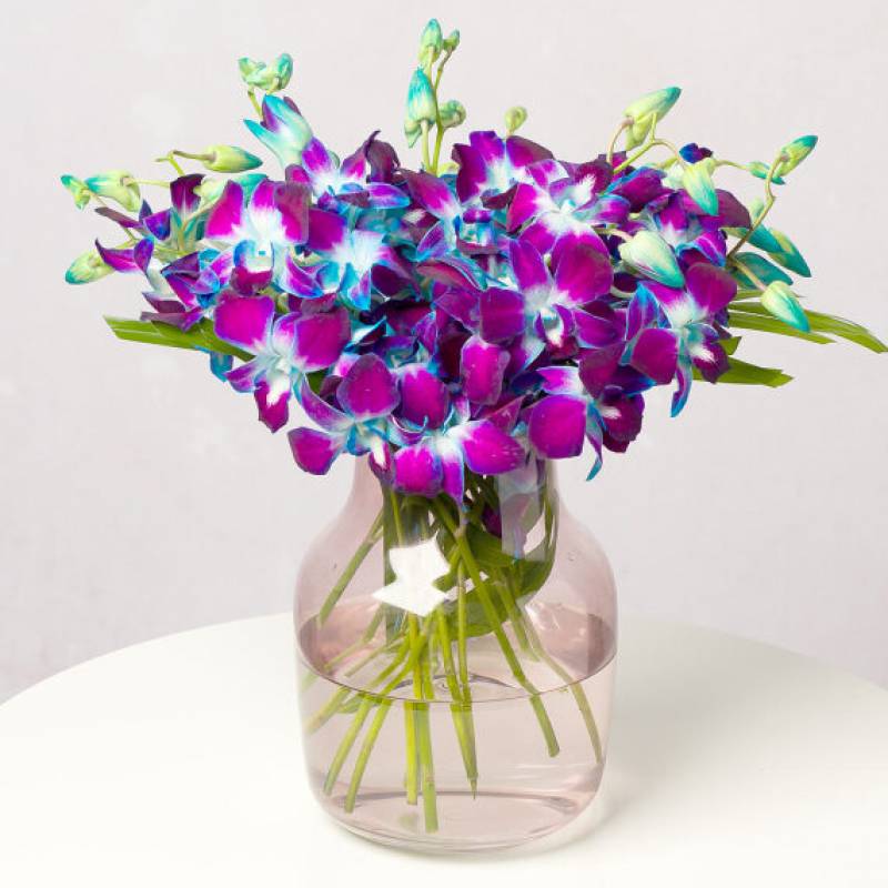 Blue Galaxy Orchids Letterbox