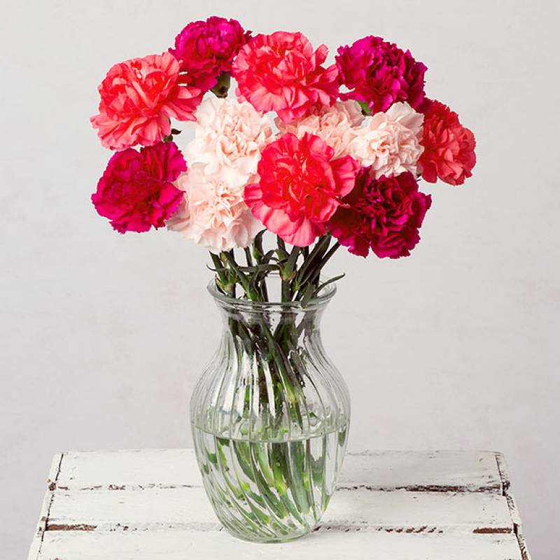 Pink Medley Letterbox