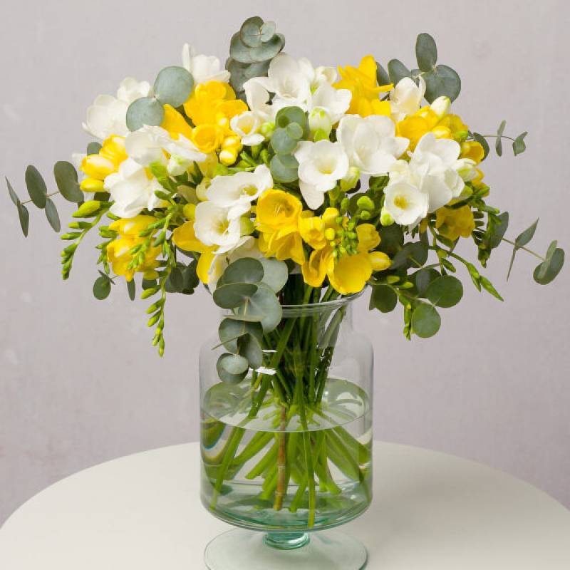Letterbox Summer Freesias