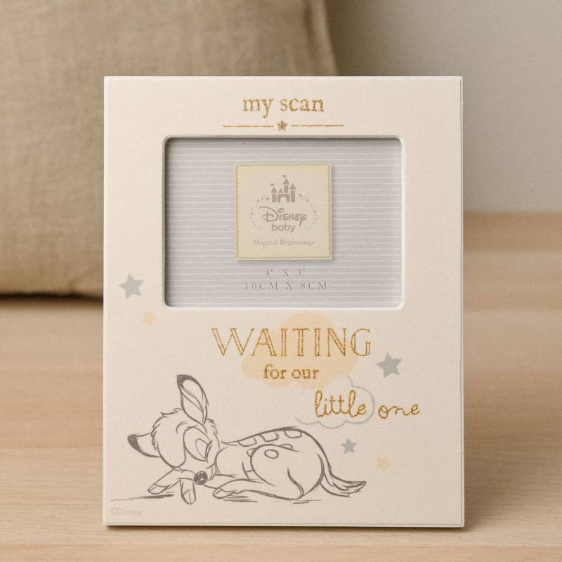 DIsney Bambi Baby Scan Frame