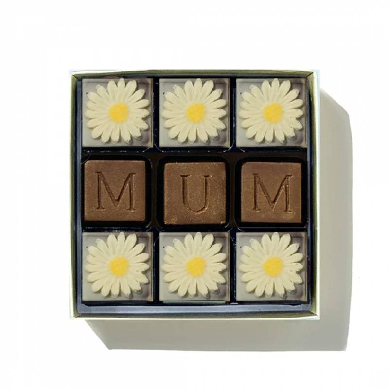 Chocolate Mum and Daisies