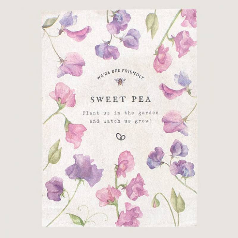 Sweet Pea Seeds