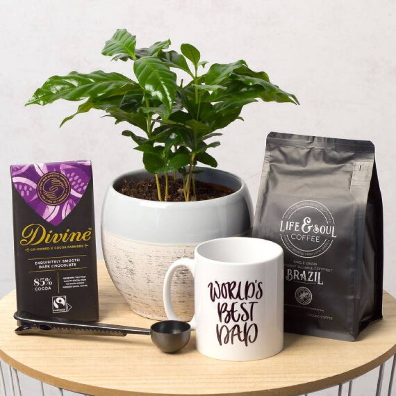 Father's Day Plant Gift