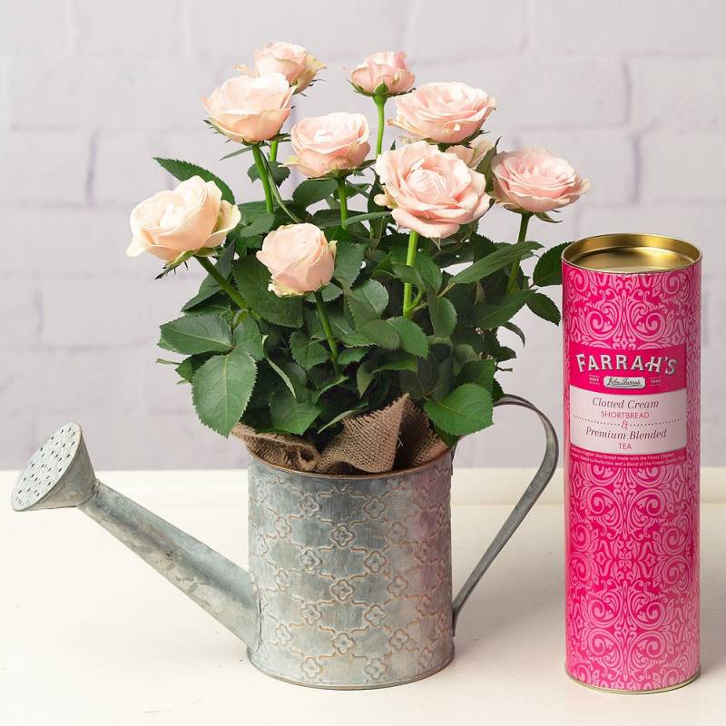 Afternoon Tea Gift Set