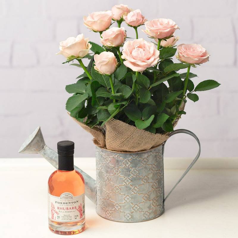 Rose and Gin Gift Set