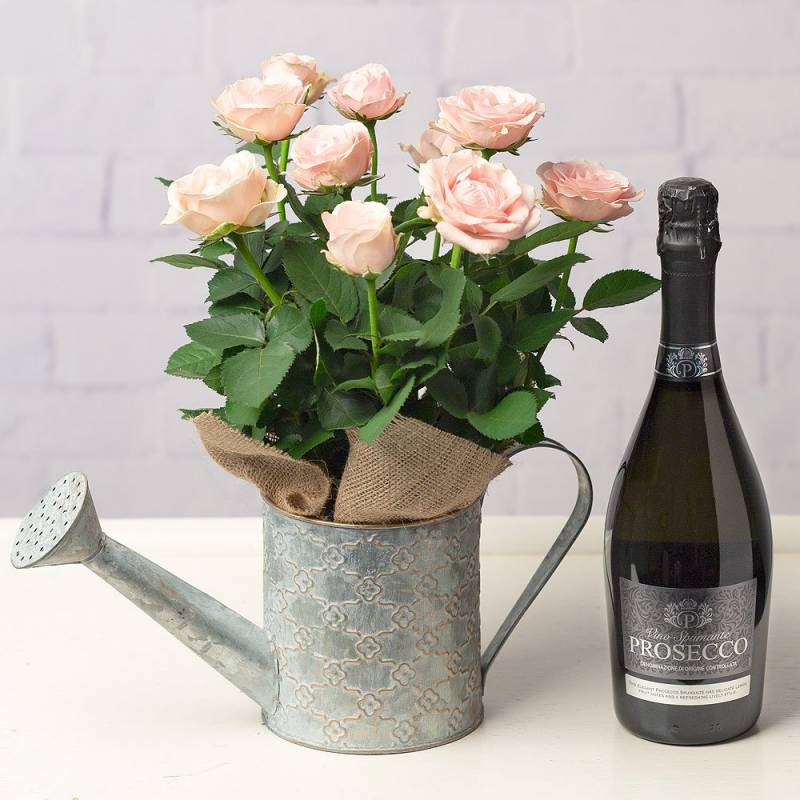 Rose and Prosecco Gift Set
