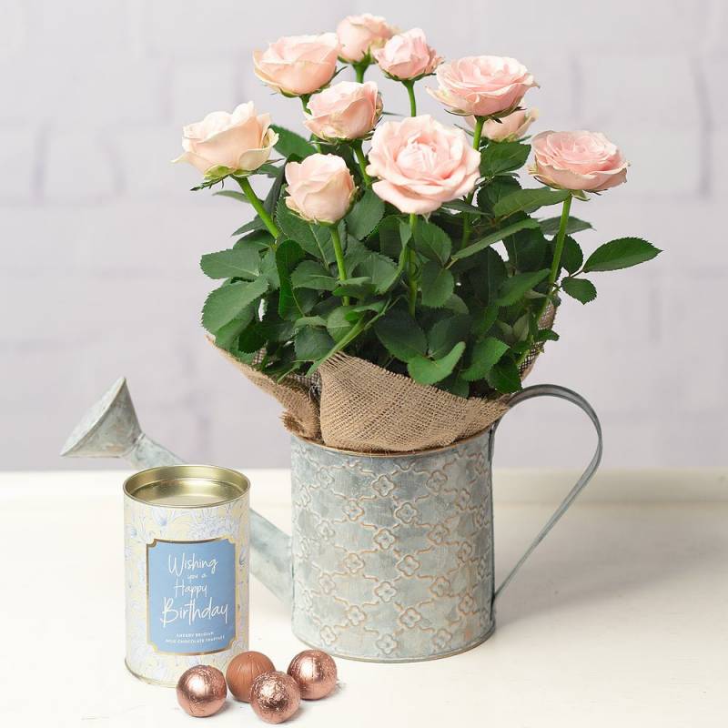 Happy Birthday Rose Gift