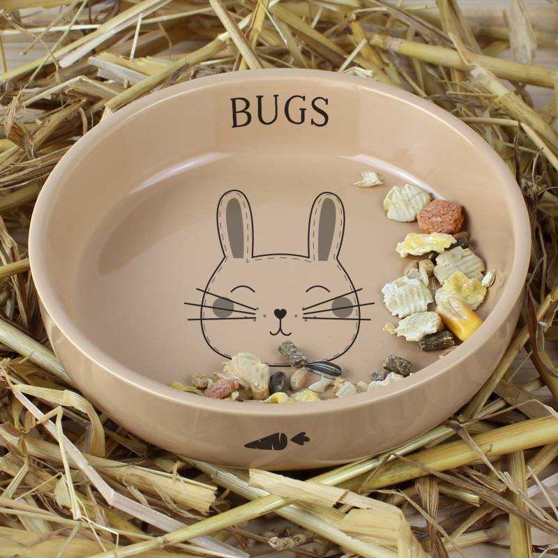Personalised CuteRabbit Small Ceramic Brown Pet Bowl