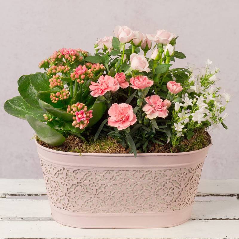Pretty Pink Planter