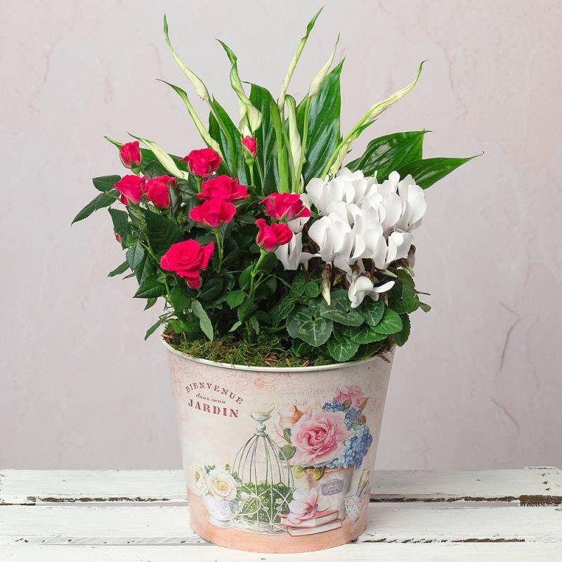 Jardin Flower Planter