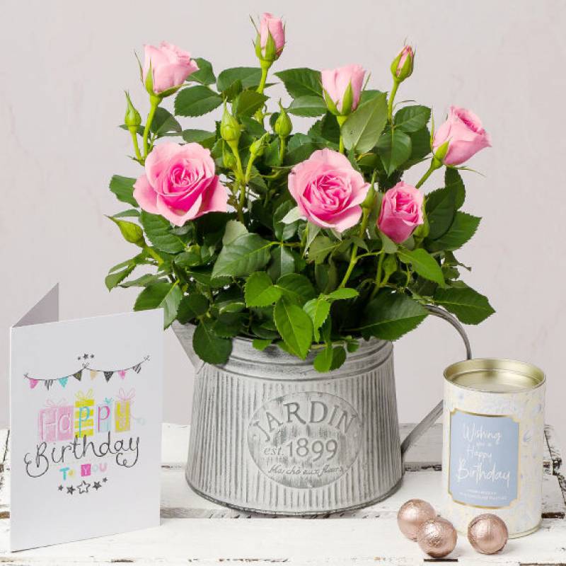 Pink Rose Happy Birthday Gift