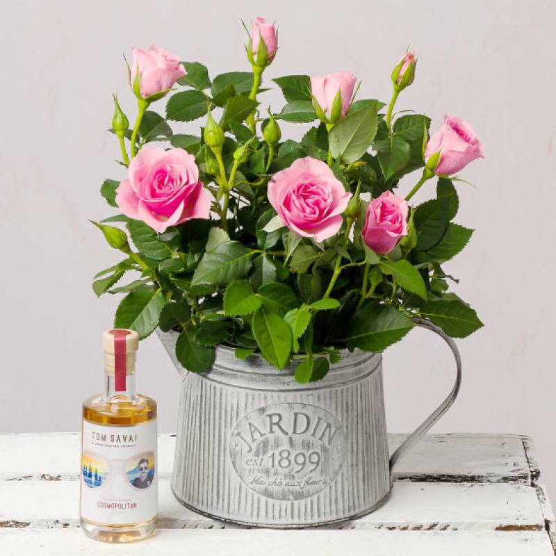 Pink Rose With Cocktail Gift