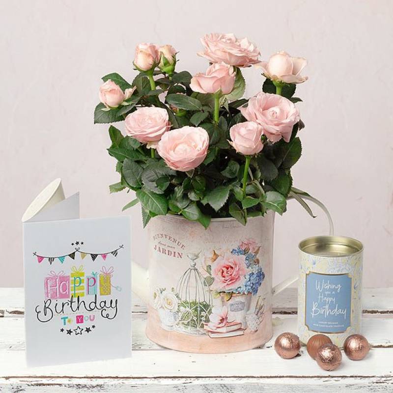 Birthday Rose and Chocolates