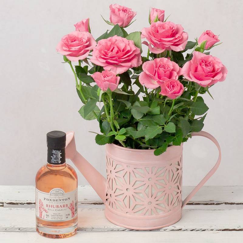 Gin and Rose Gift