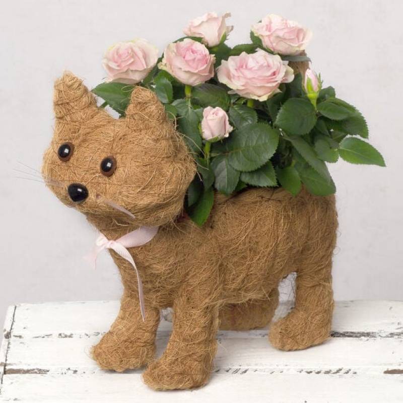 Cat Planter