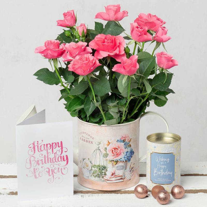 Birthday Rose & Chocolates