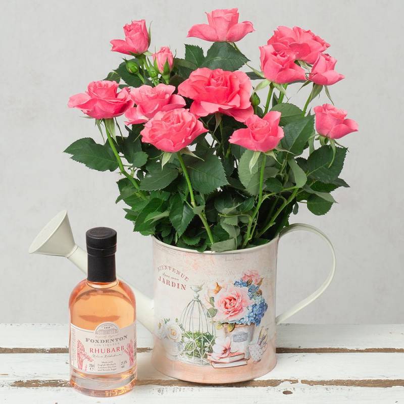Pink Rose & Gin Gift