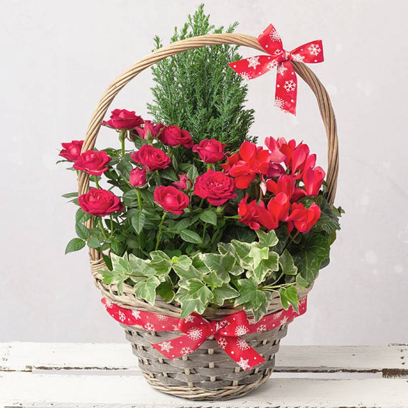 Winter Flower Basket 