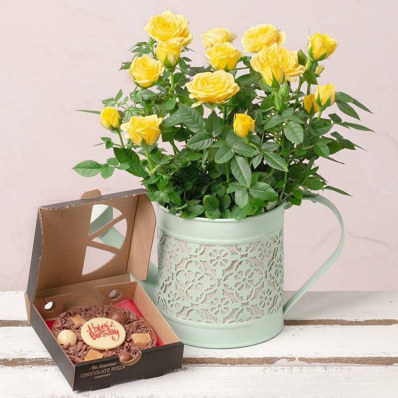 Birthday Rose Gift Funky Hampers