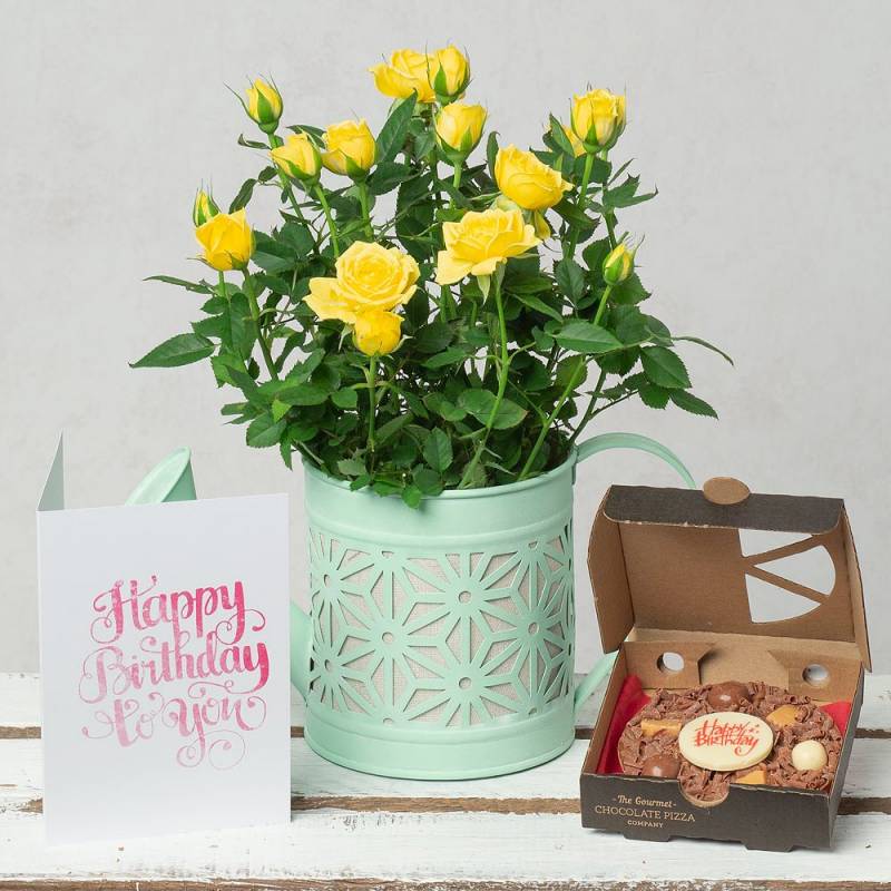 Birthday Rose & Pizza Gift